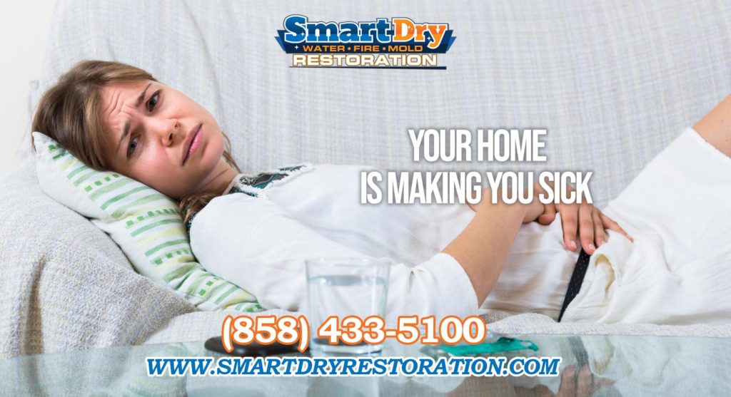 Mold Exposure is Making you Sick in San Diego California