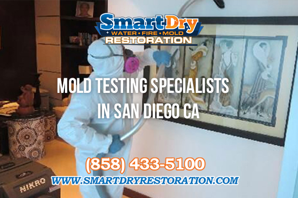 Mold Testing Experts in San Diego California