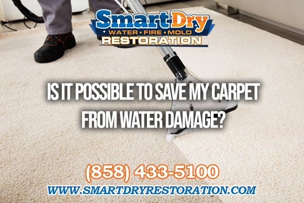 Is It Possible To Save My Carpet in San Diego