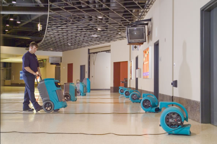 3‌ ‌Ways‌ ‌to‌ ‌Clean‌ ‌up‌ ‌Water‌ ‌Damage