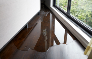 How to dry Wet Wood in a House