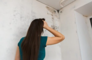 The Most Common Signs Of Mold Growth In San Diego