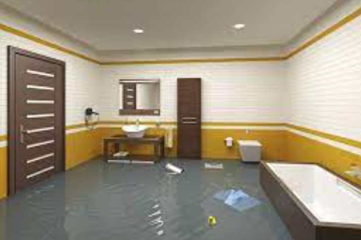 What Are The Benefits Of Hiring A Professional Water Damage Restoration Company In San Diego?