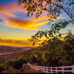 Bonsall Water Damage Restorage