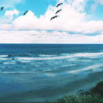 Cardiff Water Damage Restorage