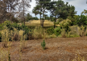 East Elliot Water Damage Restorage