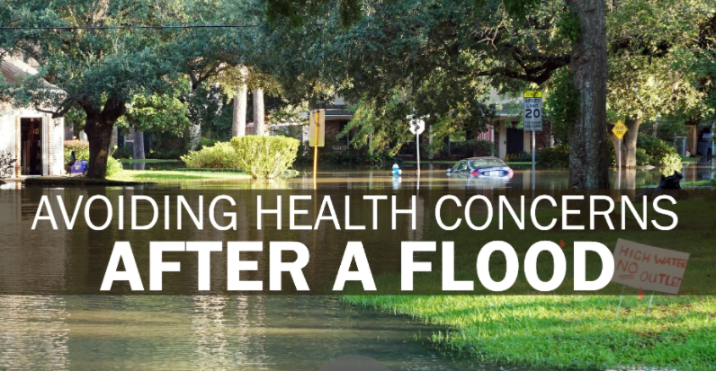 Health Concerns After A Flood In San Diego
