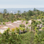 Miramar Ranch Water Damage Restorage