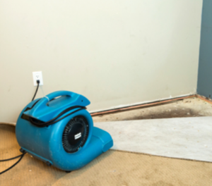 Why You Shouldn't Wait To Call For Water Restoration In San Diego