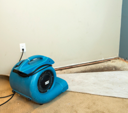 Why You Shouldn't Wait To Call For Water Restoration In San Diego