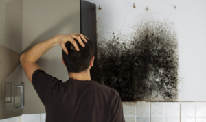 Clean The Fire Damage Or Smoke Damage Ourselves In San Diego?