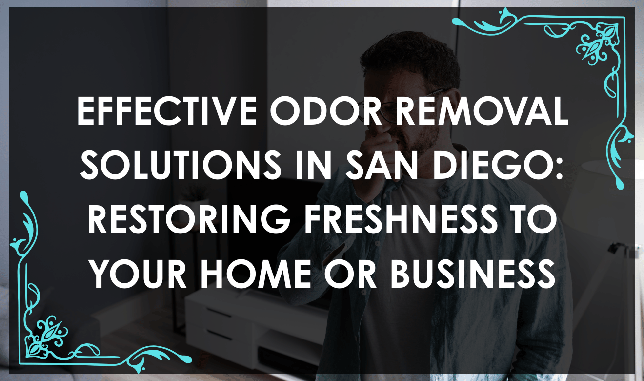 Technician performing professional odor removal San Diego treatment using advanced equipment