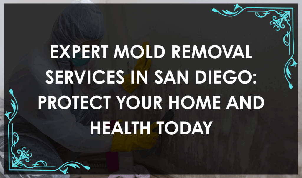 Mold Removal San Diego: Professional mold removal technician inspecting a San Diego home for mold with specialized equipment