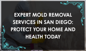 Mold Removal San Diego: Professional mold removal technician inspecting a San Diego home for mold with specialized equipment