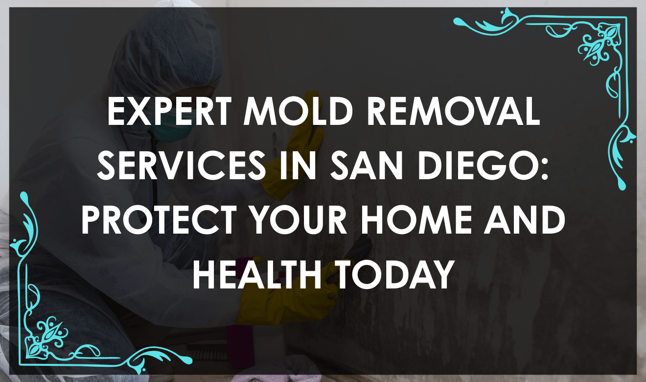 Mold Removal San Diego: Professional mold removal technician inspecting a San Diego home for mold with specialized equipment
