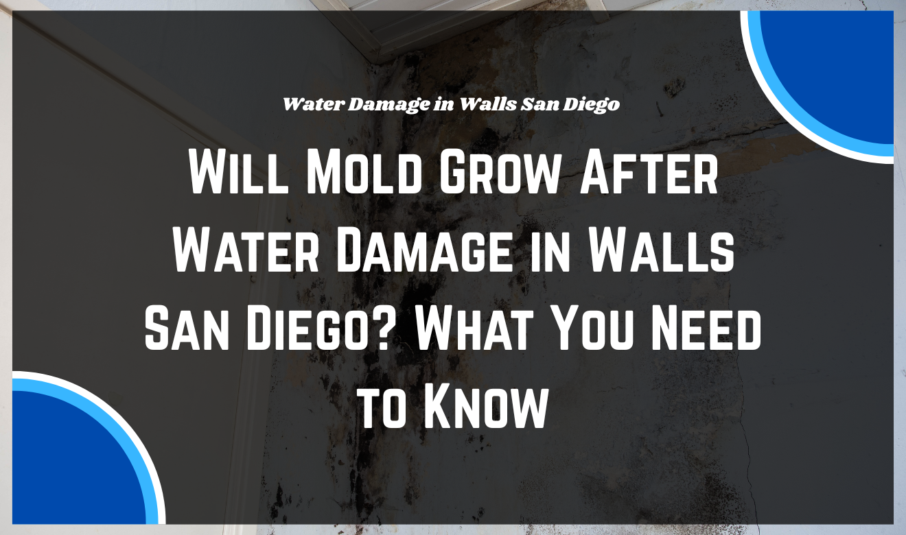 Damaged drywall with mold caused by water damage in walls San Diego